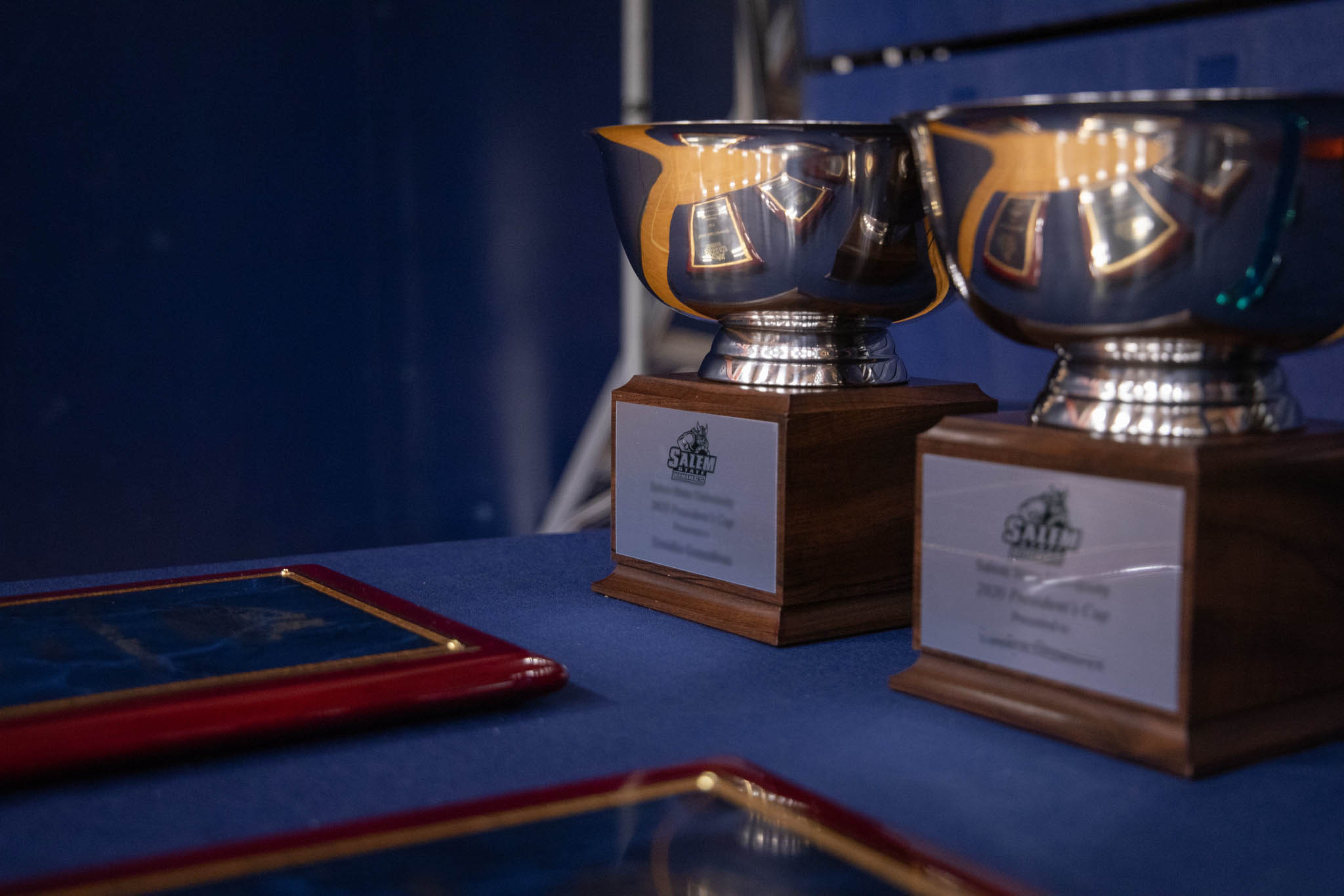 Salem State Athletic Department Recognizes Student-Athletes at 2026 VeSPY Awards