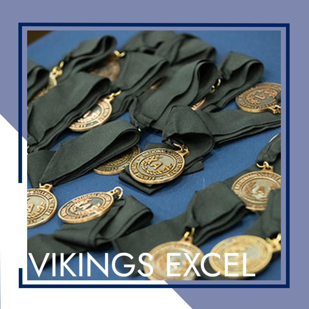 Vikings Excel
